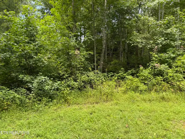 Coy Rhea Way #Lot 3 D, Sevierville, TN 37876