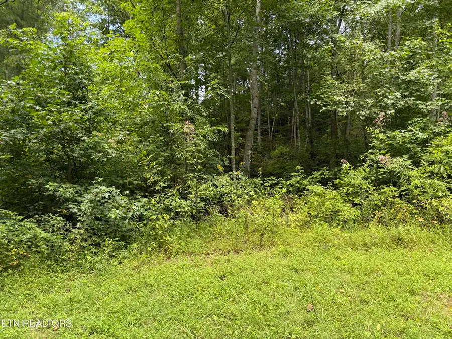 Coy Rhea Way #Lot 3 D, Sevierville, TN 37876 - #2