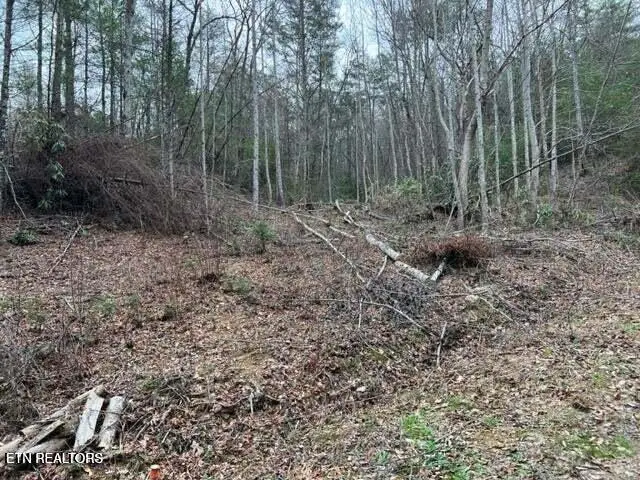 Coy Rhea Way #Lot 3 D, Sevierville, TN 37876 - #3