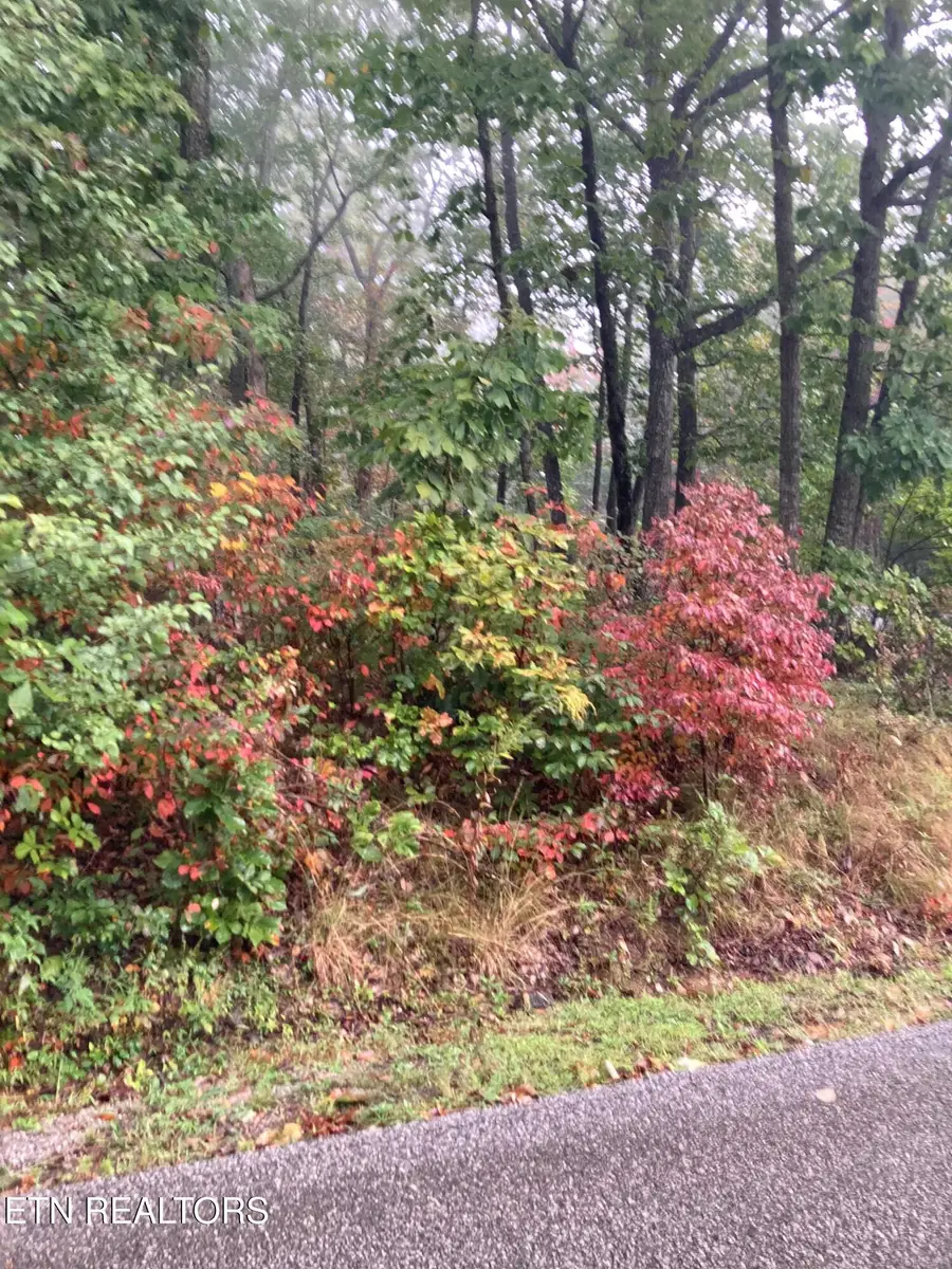 127 Brokenwood Lane, Crossville, TN 38558 - #3