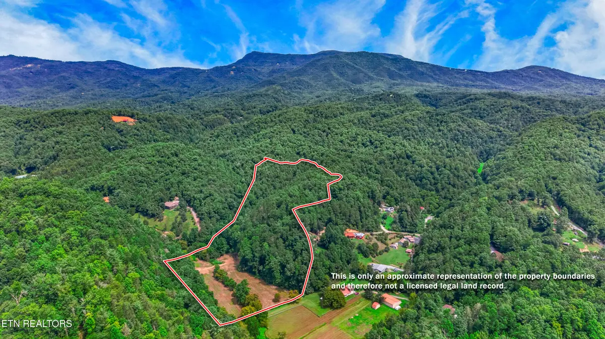 Jones Cove Rd, Sevierville, TN 37876 - #1