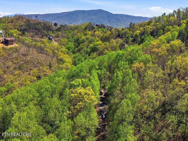 3303 Shagbark Hickory, Sevierville, TN 37862 - #3