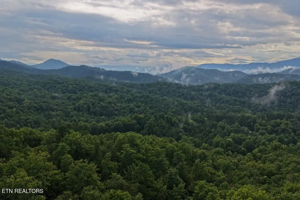 Lot 41 Shady Oaks Way, Sevierville, TN 37876 - #1