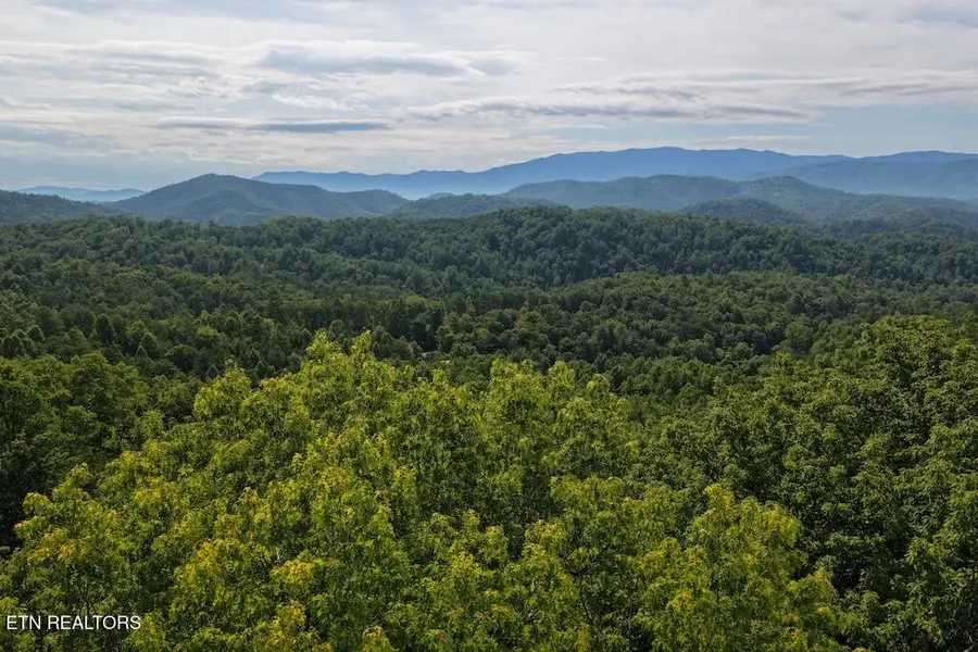 Lot 41 Shady Oaks Way, Sevierville, TN 37876 - #2
