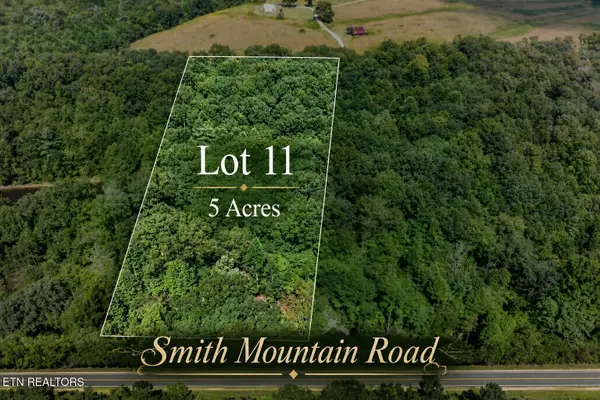 Lot 11 Smith Mountain Rd, Rockwood, TN 37854