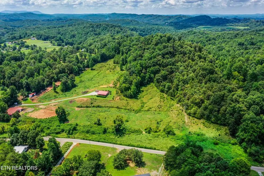598 Griffith Branch Rd, Madisonville, TN 37354 - #3