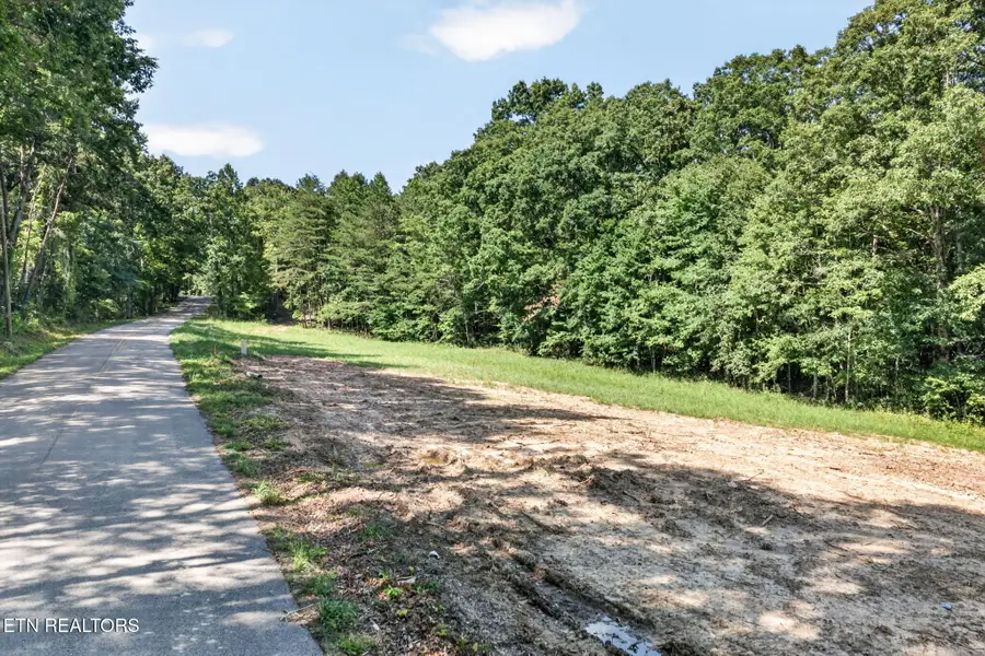 Lot 13 Smith Mountain Rd, Rockwood, TN 37854 - #3