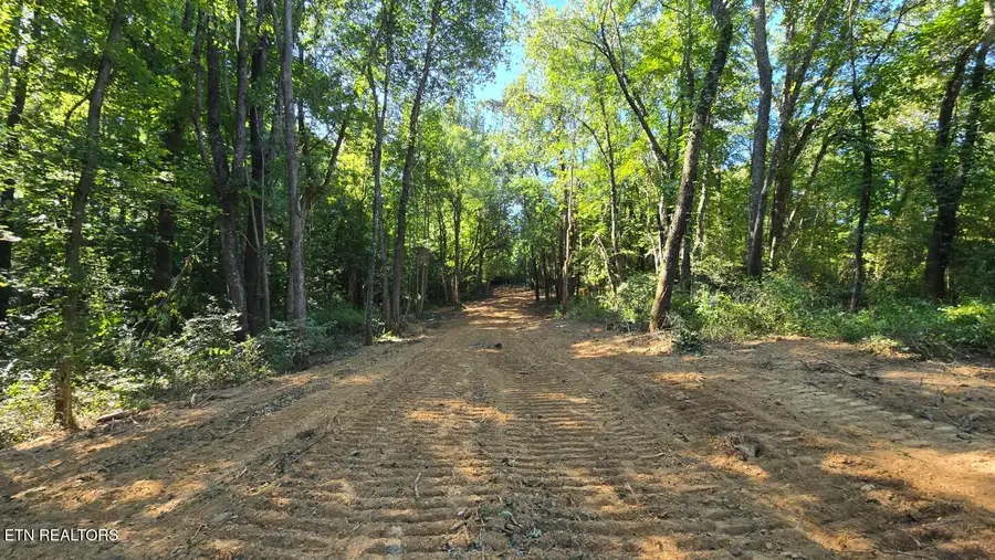 Shady Lane, Oneida, TN 37841 - #2