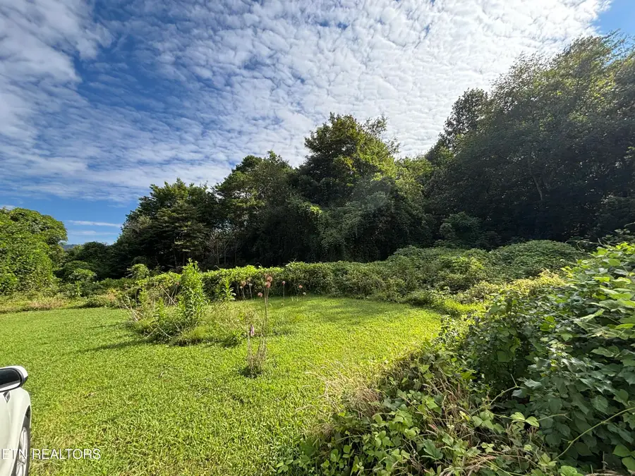 153 Old Kingston Hwy, Rockwood, TN 37854 - #2