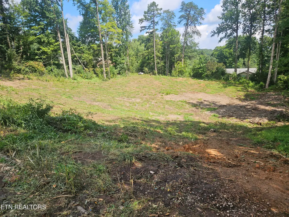 10004 Sugar Pine Court, Powell, TN 37849 - #1