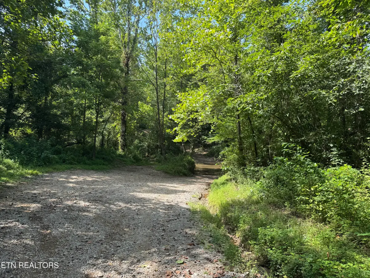 0 Brimstone Creek, Robbins, TN 37852 - #1