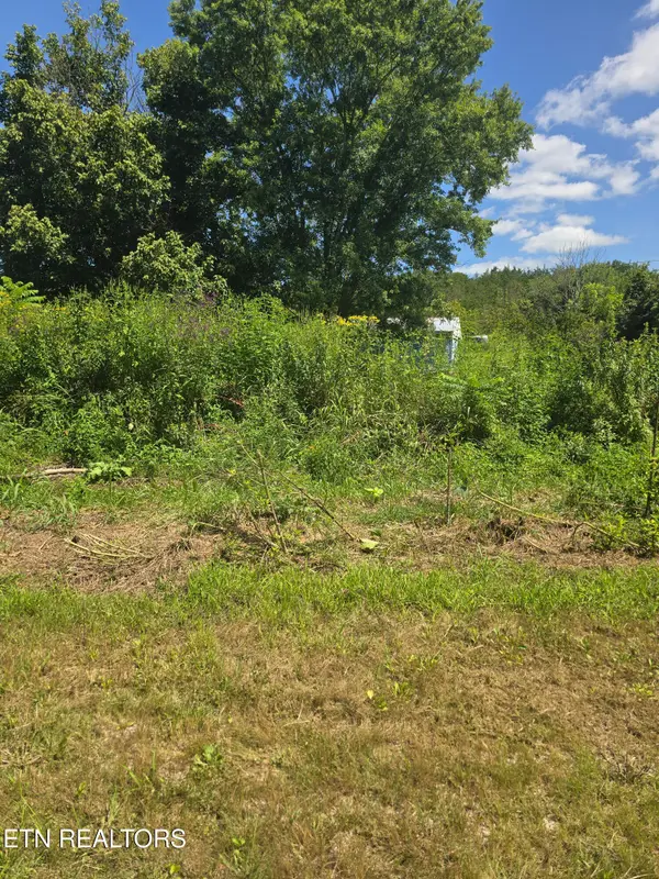 152 & 138 Wilmoth Lane, Washburn, TN 37888