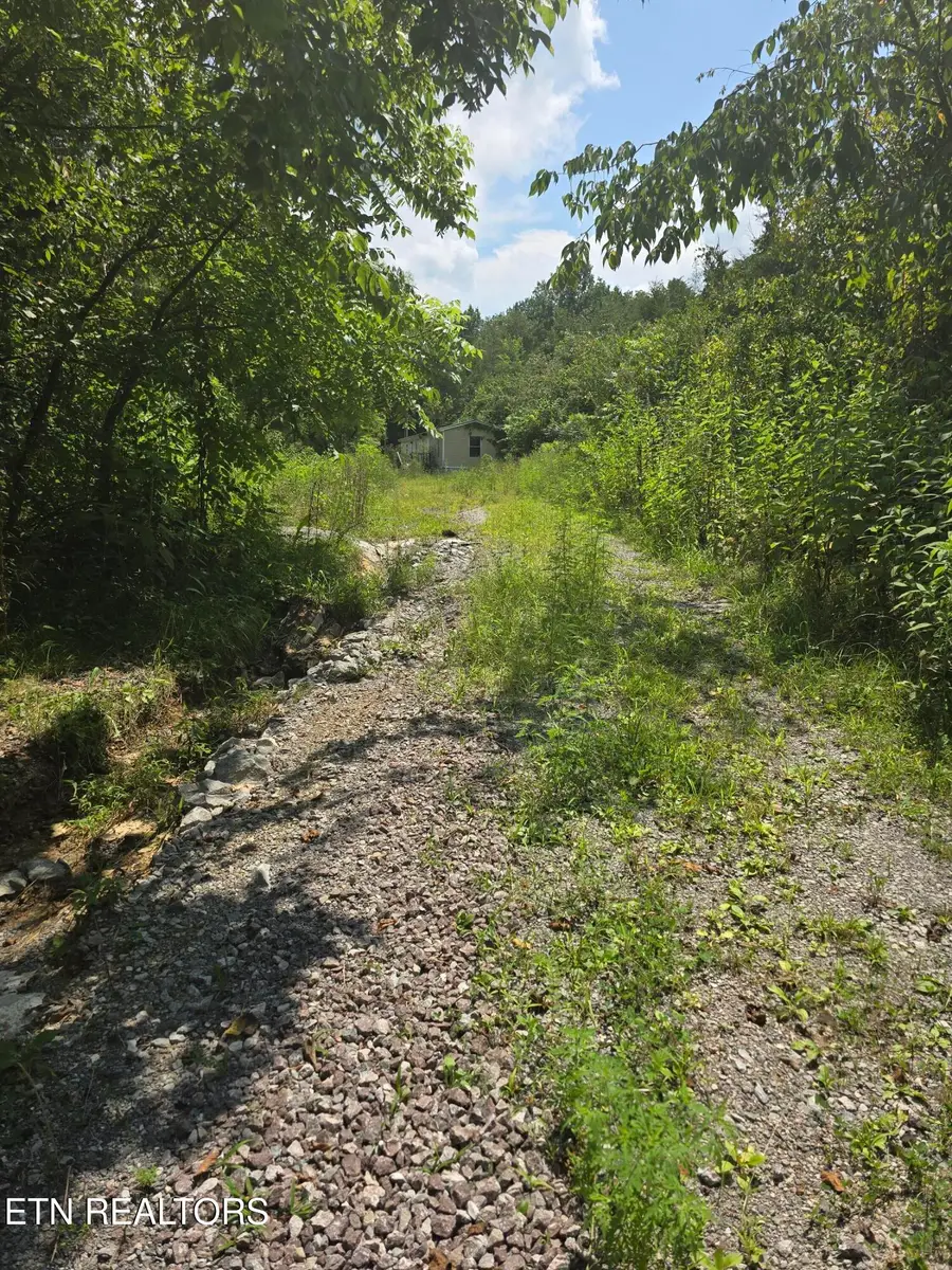 152 & 138 Wilmoth Lane, Washburn, TN 37888 - #3