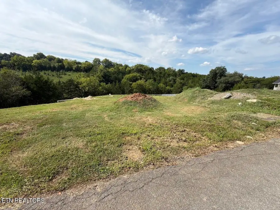Lot 20 Ally Lane, Sevierville, TN 37876 - #2