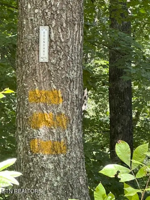 Lot 103 Doe's Crossing, Middlesboro, KY 40965 - #2