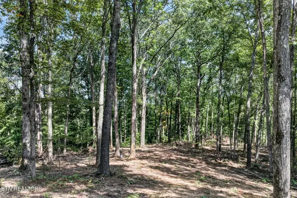 Lot 40 Pioneer Trail Lane, Crawford, TN 38554
