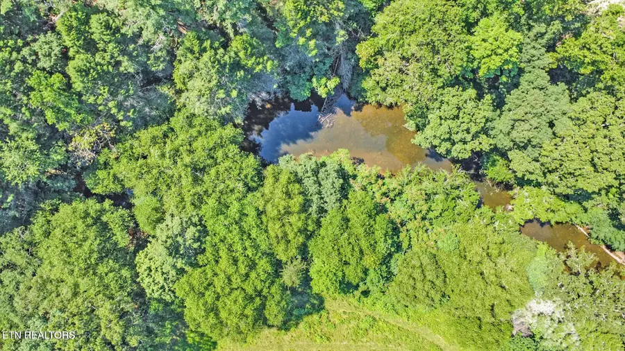 Daddys Creek Tr, Crab Orchard, TN 37723 - #3