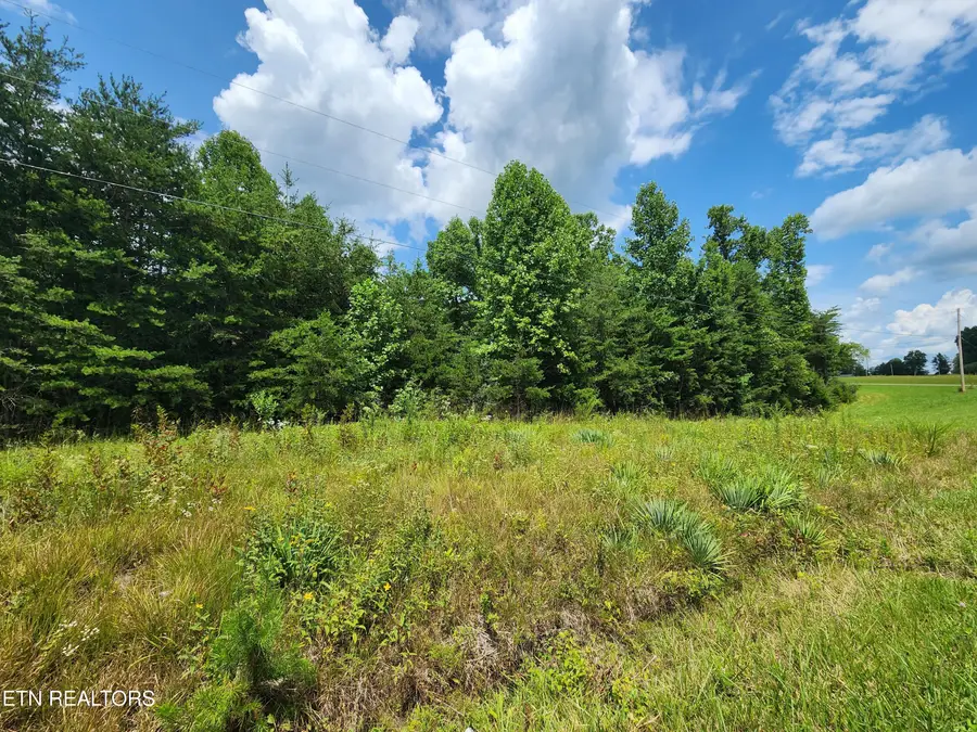 Twin Bridge Rd, Deer Lodge, TN 37726 - #2