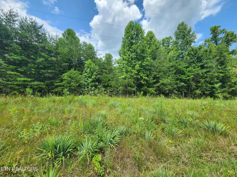 Twin Bridge Rd, Deer Lodge, TN 37726 - #3