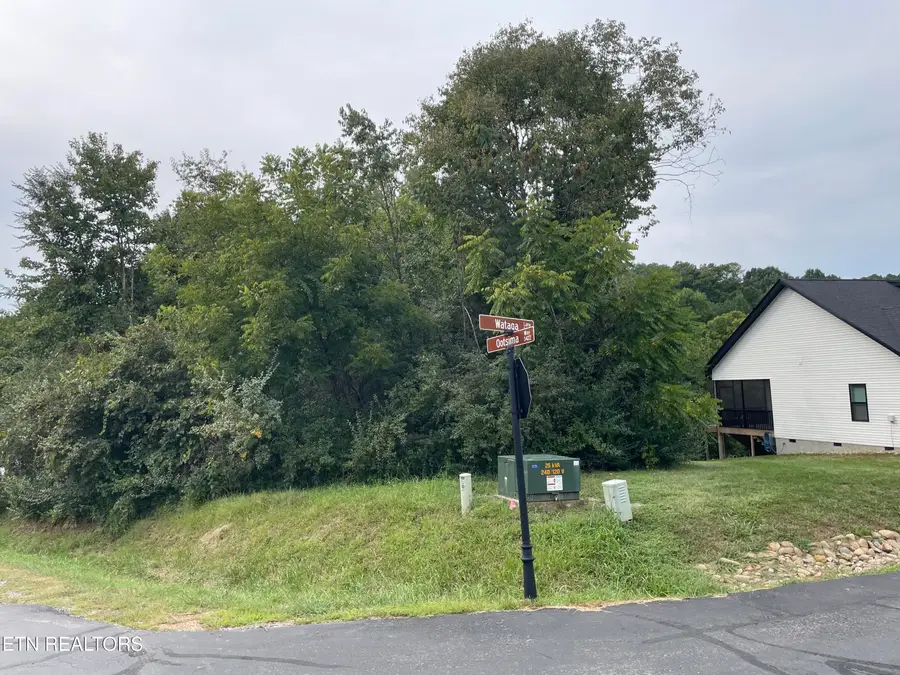 273 Ootsima Way, Loudon, TN 37774 - #2