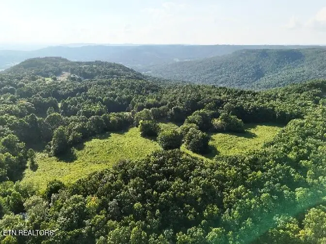 536 Ted Brooks Rd, Jamestown, TN 38556 - #3