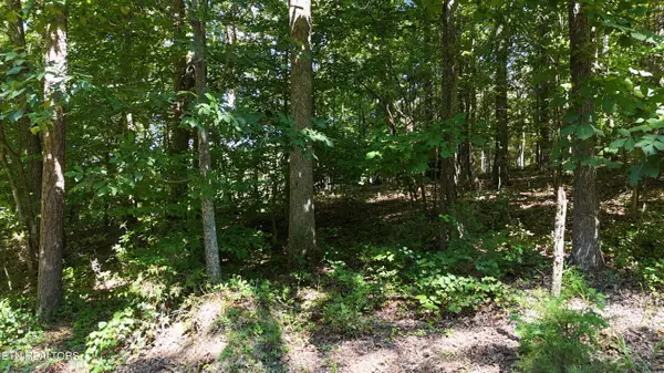 000 Fezzell Rd, Decatur, TN 37322