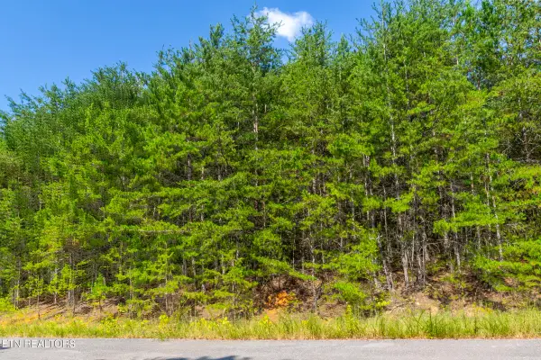 742 White Dogwood Rd, Cosby, TN 37722
