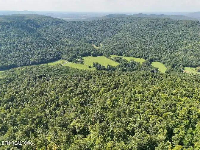 Manson Rd, Jamestown, TN 38556 - #3