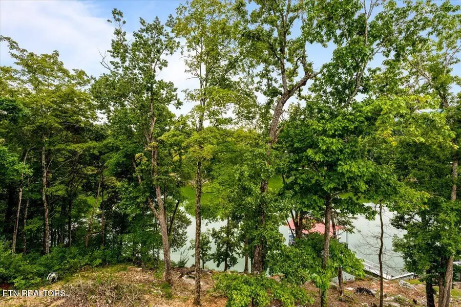 114 Bluff Trace Trace, Jacksboro, TN 37757 - #2