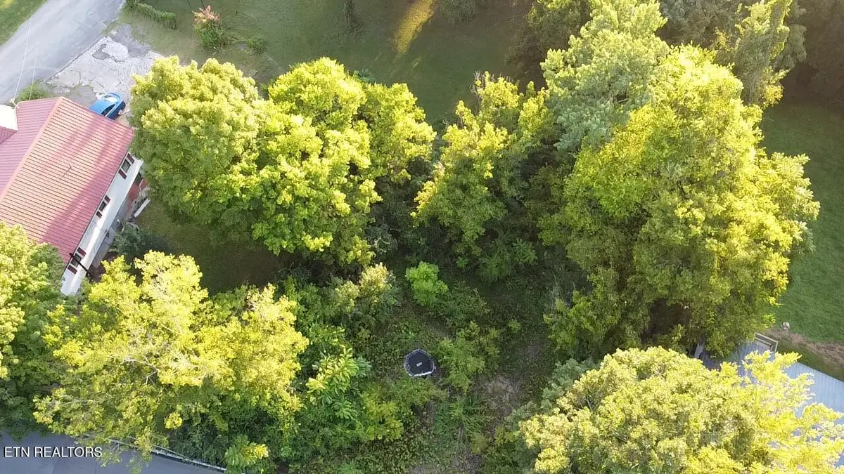 141 Blazer St, Newport, TN 37821 - #1