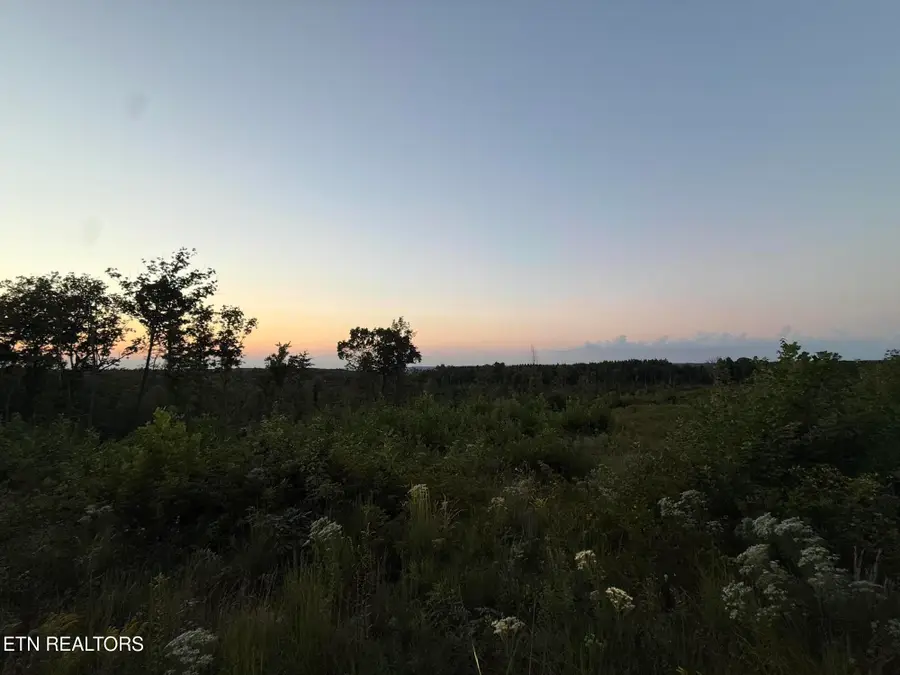 Flat Rock Rd, Jamestown, TN 38556 - #2