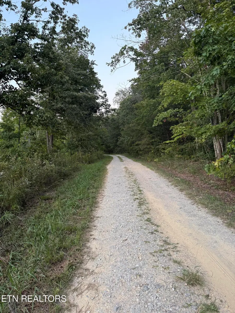 Flat Rock Rd, Jamestown, TN 38556 - #3