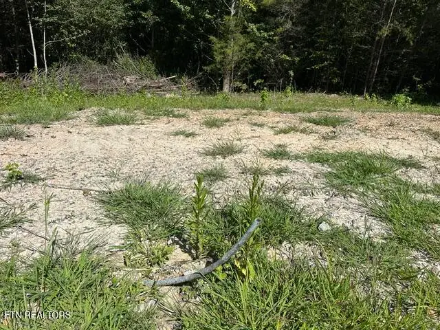 TBD Gobblers Knob, Pineville, KY 40977 - #3