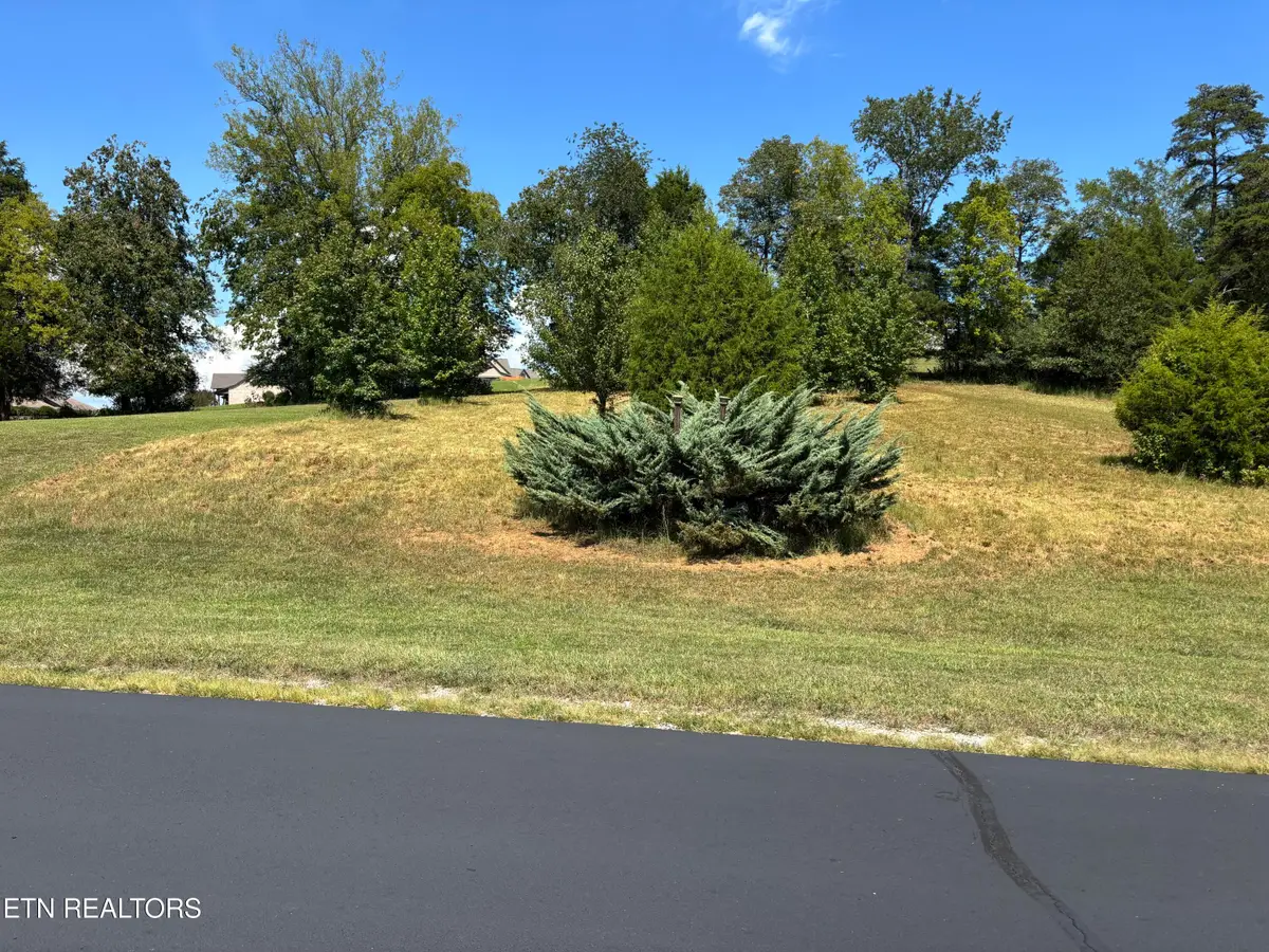 W Shore Drive, Rockwood, TN 37854 - #1