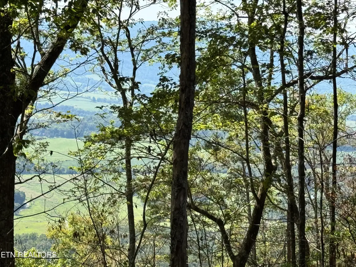 Soaring Eagle Rd, Crossville, TN 38572 - #1