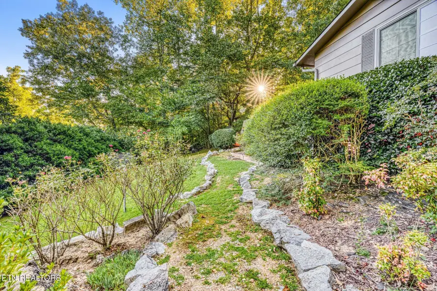 733 Cavern Rd, Townsend, TN 37882 - #3