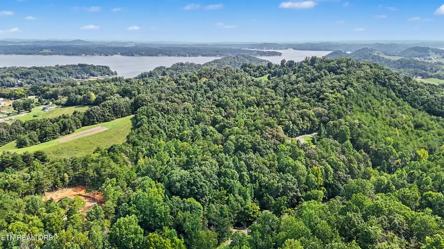 1570 Sandy Ridge Rd, Dandridge, TN 37725 - #3