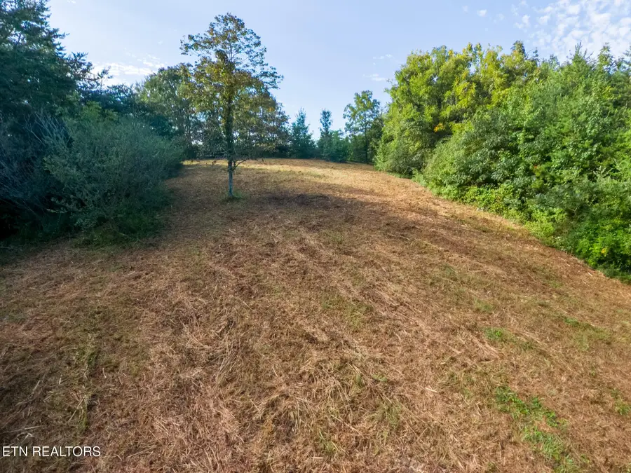 408 Shadden Rd, Tellico Plains, TN 37385 - #2