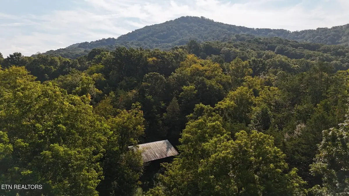 0 Redbud Circle, Luttrell, TN 37779 - #1