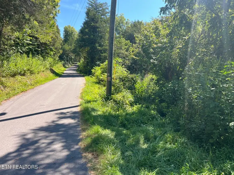 0 Redbud Circle, Luttrell, TN 37779 - #3