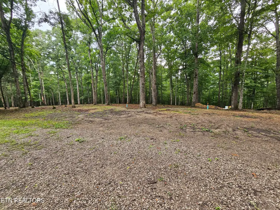 W Catoosa Canyon Dr Drive, Crossville, TN 38571 - #2