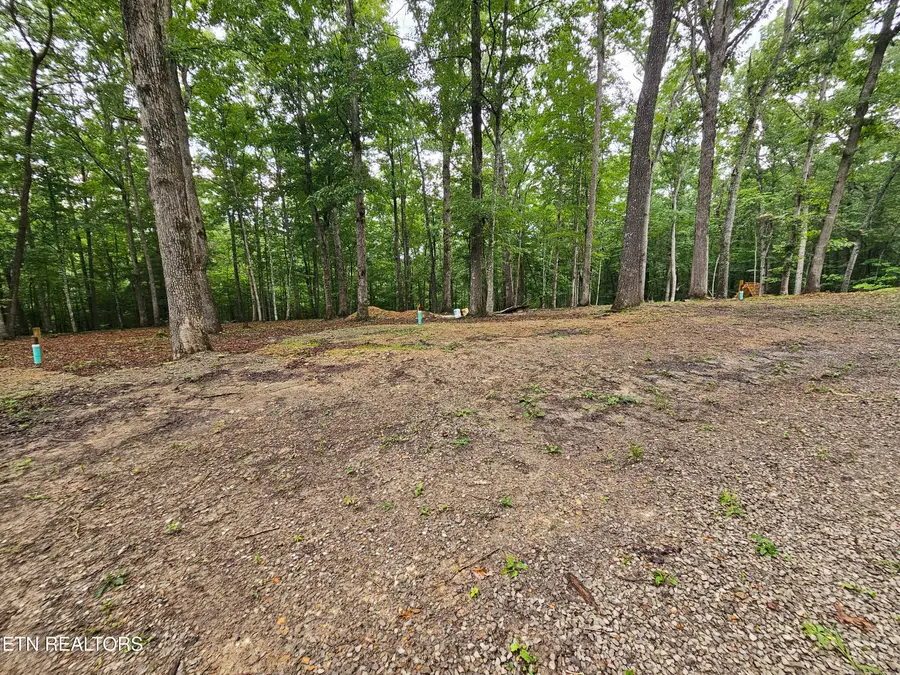 W Catoosa Canyon Dr Drive, Crossville, TN 38571 - #3