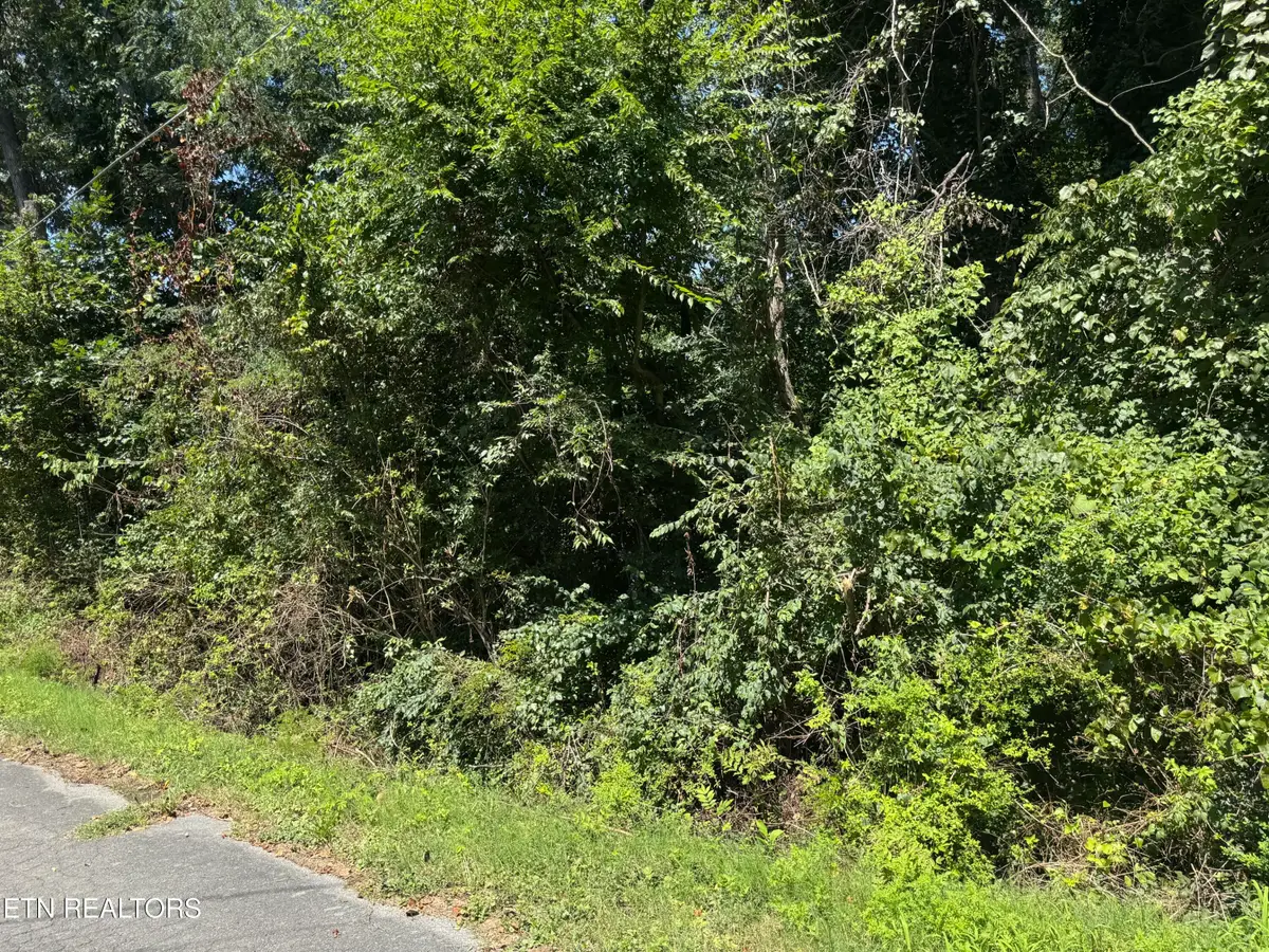 726 Brookhill Drive, Etowah, TN 37331 - #1