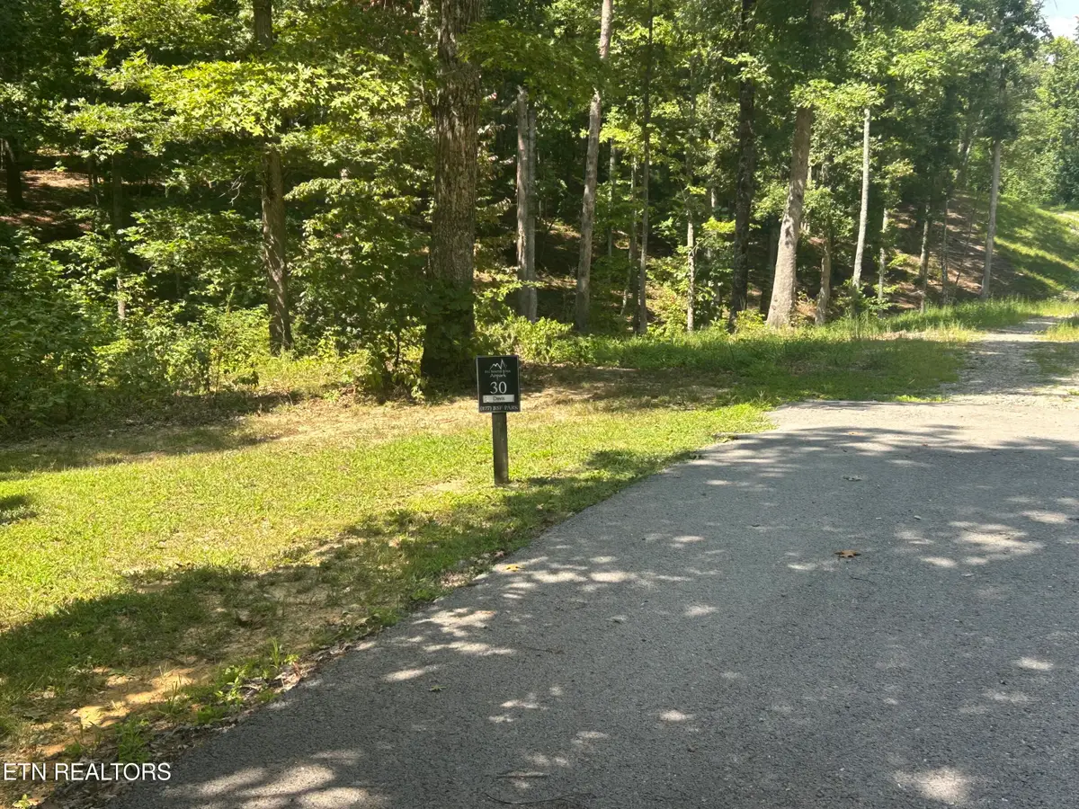 Hard Wood Court #30, Oneida, TN 37841 - #1