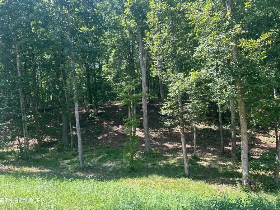 Hard Wood Court #30, Oneida, TN 37841 - #3