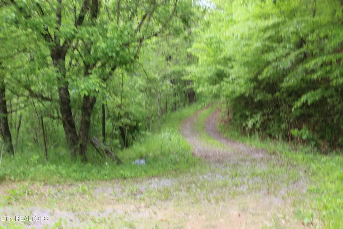 Leatherwood Rd, Sevierville, TN 37876 - #1