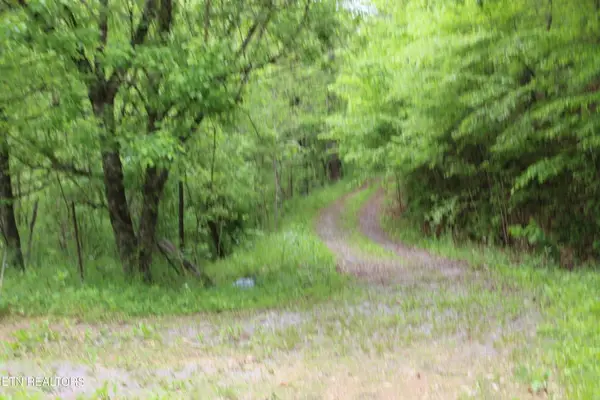 Leatherwood Rd, Sevierville, TN 37876