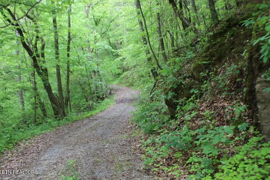 Leatherwood Rd, Sevierville, TN 37876 - #3