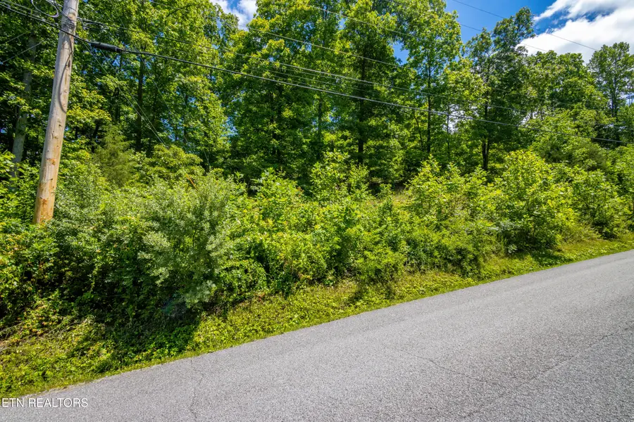 lot 2 Saddleridge, Speedwell, TN 37870 - #2