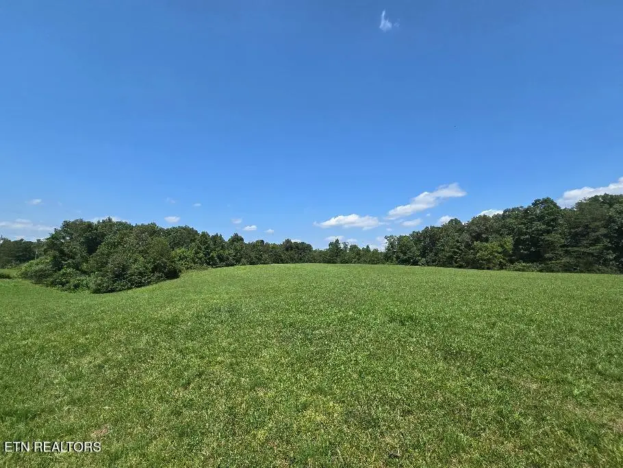 Al Martin Rd, Robbins, TN 37852 - #1